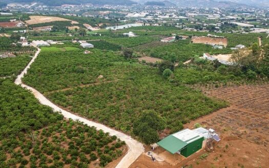 Lâm Đồng: Hơn 5.1 ngàn giao dịch đất nền trong quý 3